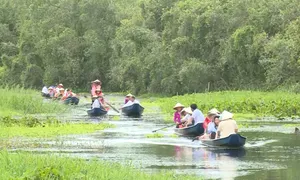 Tổng lãnh sự Hàn Quốc đi xuồng ngắm sông nước miền Tây